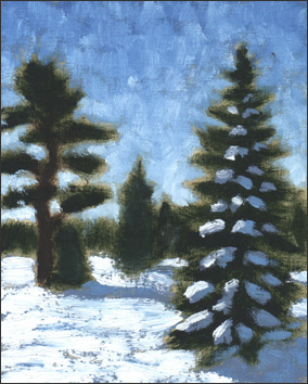 Snow and Evergreen #1