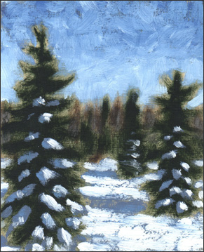 Snow and Evergreen #2