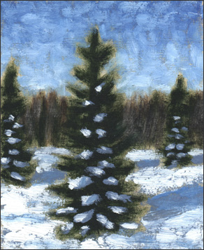 Snow and Evergreen #3