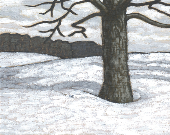 winter maple field