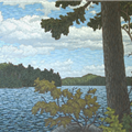 pine lake clouds - 
                        H: 48
                          
                        W: 34
                         - 
                        -
                        