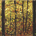  Autumn Forest - 
                        H: 5
                          
                        W: 6
                         - 
                        Canadian folliage 
                        