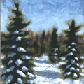 Snow and Evergreen #2 - 
                        H: 5
                          
                        W: 4
                         - 
                        Snow and spruce in the winter sunlight.  Oil on birch panel with hand-crafted shadow box type frame. 
                        