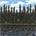 Black Spruce River - 
                        H: 5
                          
                        W: 6
                         - 
                        northern forest
                        