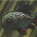 Portrait of a Red Eyed Fish - 
                        H: 5
                          
                        W: 4
                         - 
                        -
                        