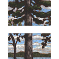 White Pine - 
                        H: 18
                          
                        W: 6
                         - 
                        This is a 4-painting set. I've made two versions of this but they sell right away.
                        