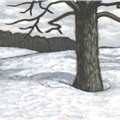 winter maple field - 
                        H: 5
                          
                        W: 6
                         - 
                        
                        