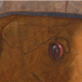 detail: eyes - eyes